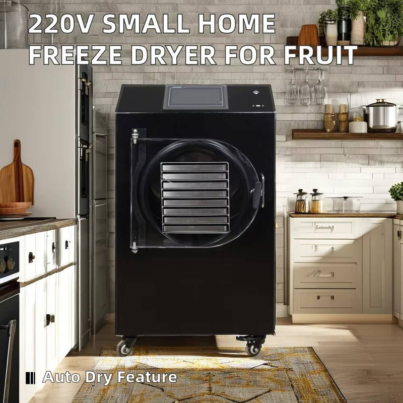 Automatyczna suszarka sterowan – Dried Fruit recenzja i cena