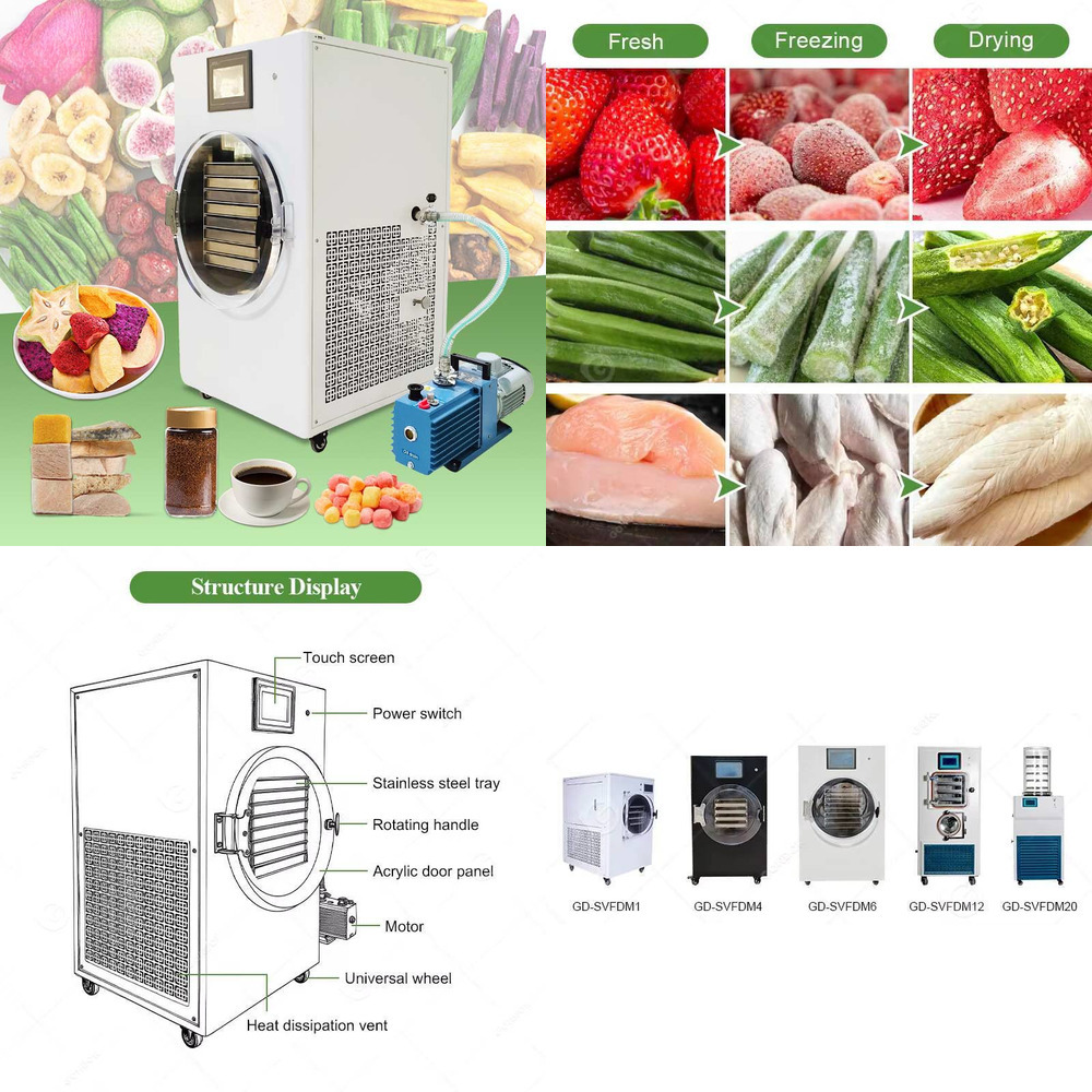 Mały Liofilizator Mini Suszark – Dried Fruit recenzja i cena
